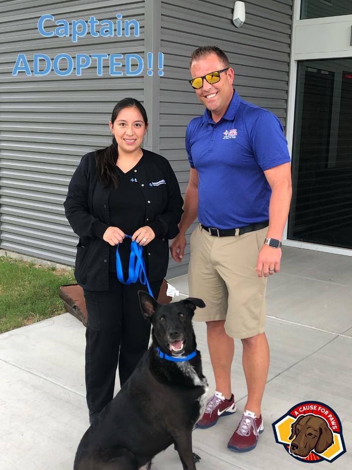 Infinity Texas Air Image