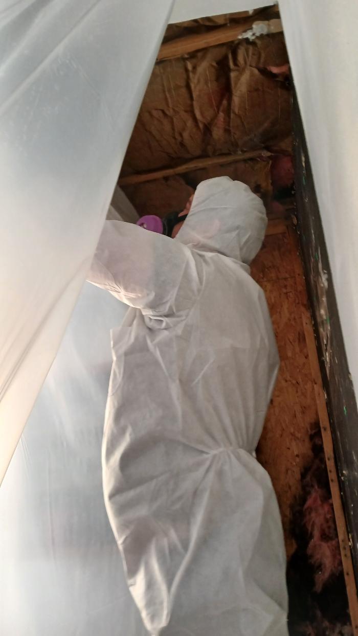 Kustom Disaster Restoration - Portage, MI