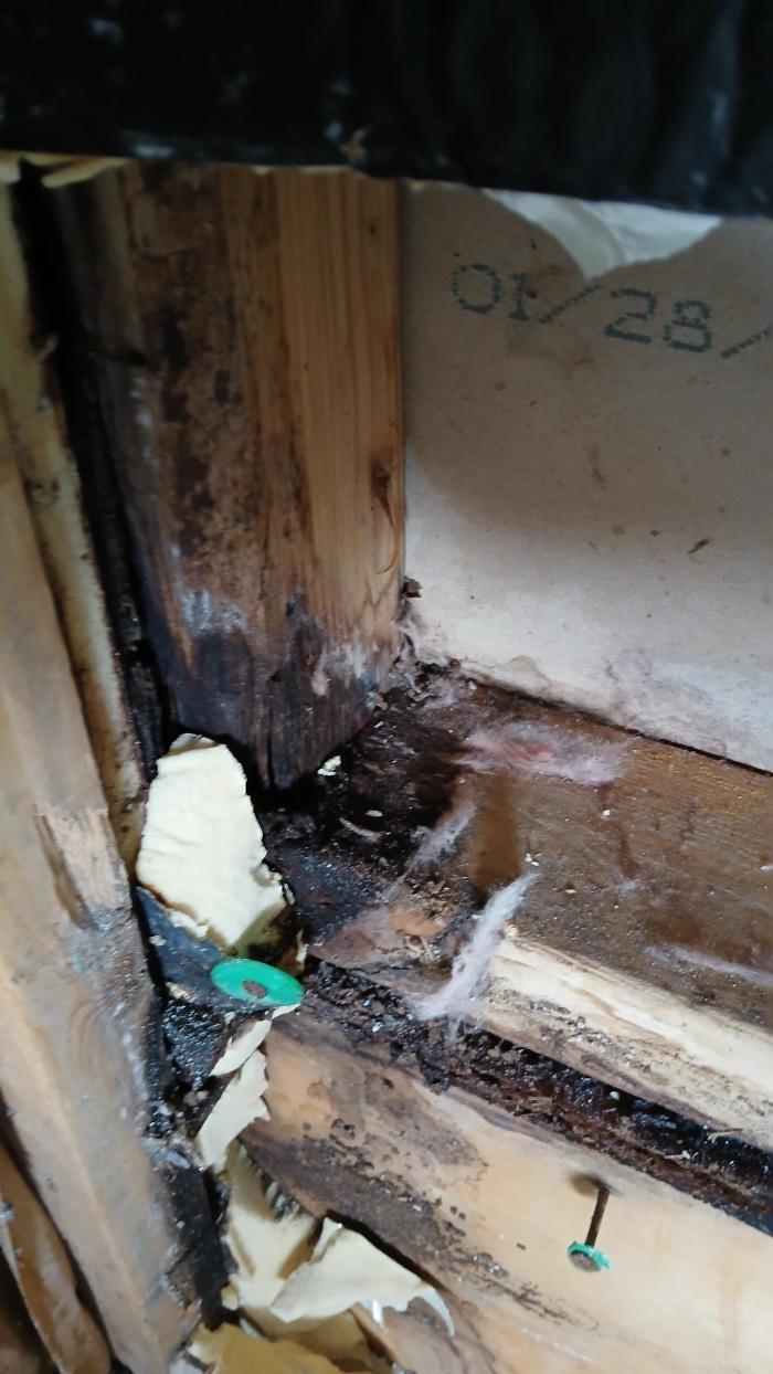 Kustom Disaster Restoration - Portage, MI