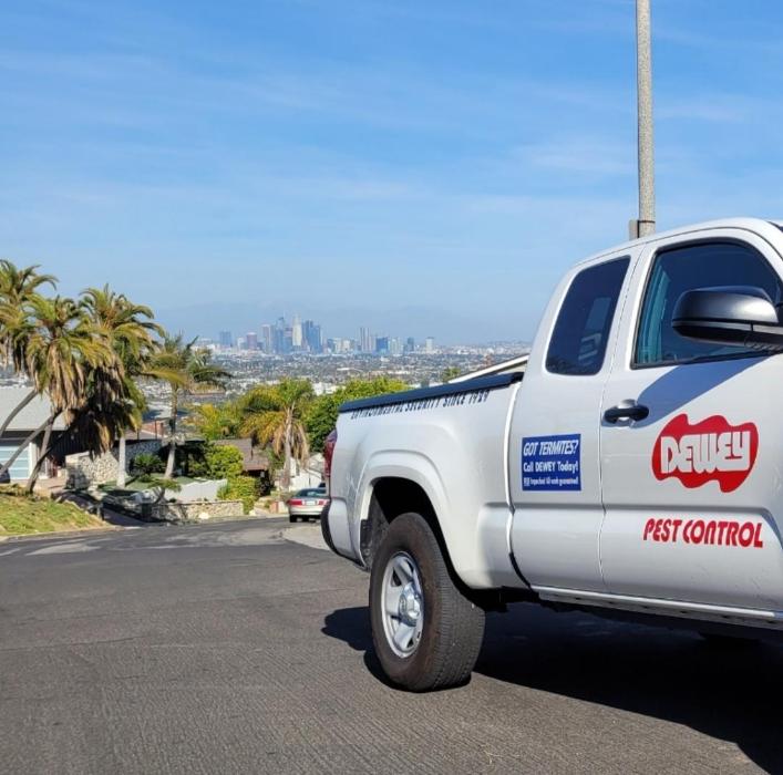 Dewey Pest &amp; Termite Control Logo