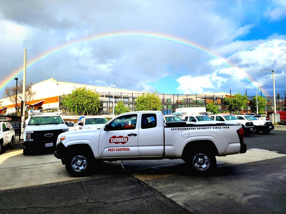 Dewey Pest & Termite Control Image