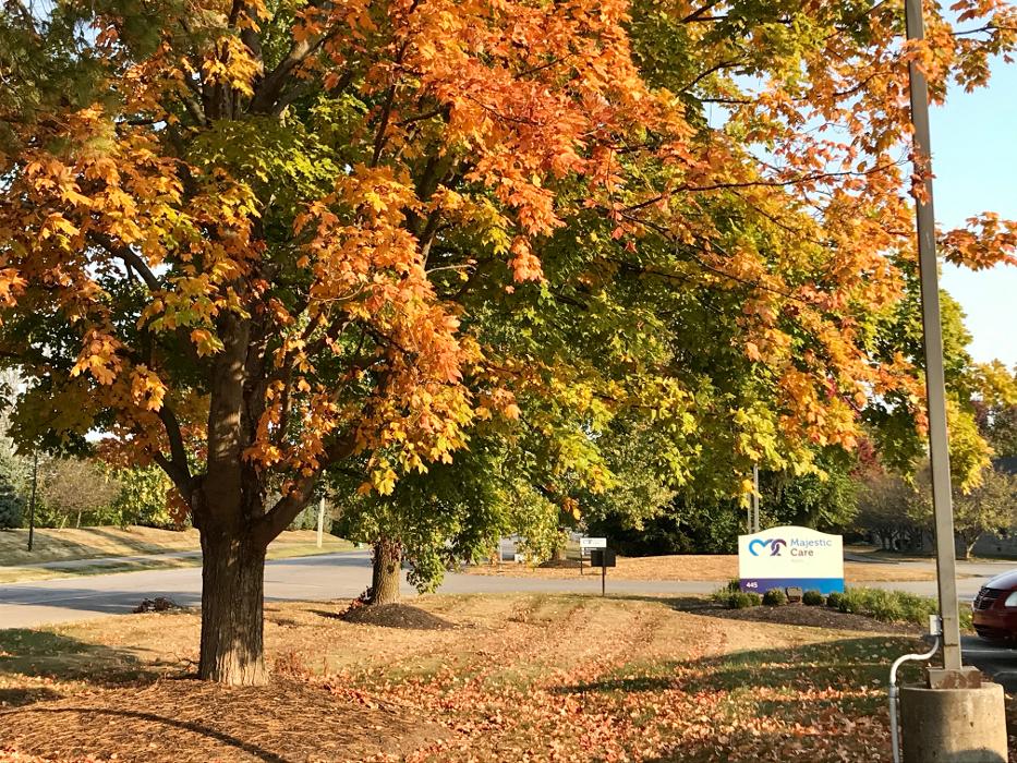 Majestic Care of Avon Image