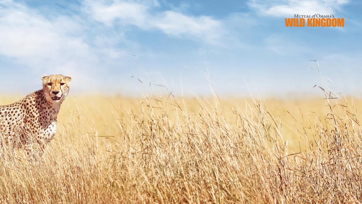 Mutual of Omaha Mortgage - Puyallup, WA