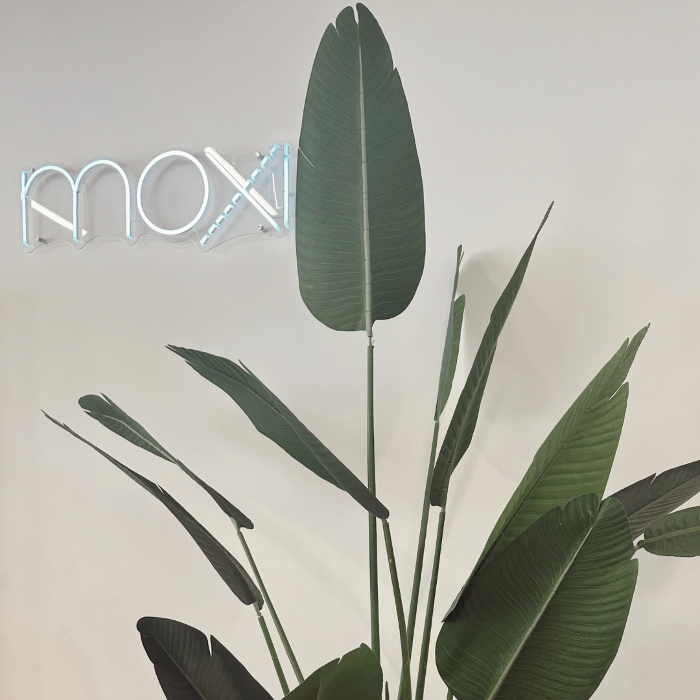 Livio Med Spa - Covington, KY