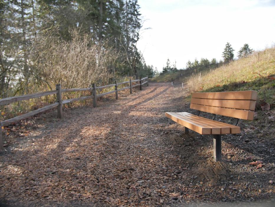 Timber Grove by Holt Homes Image