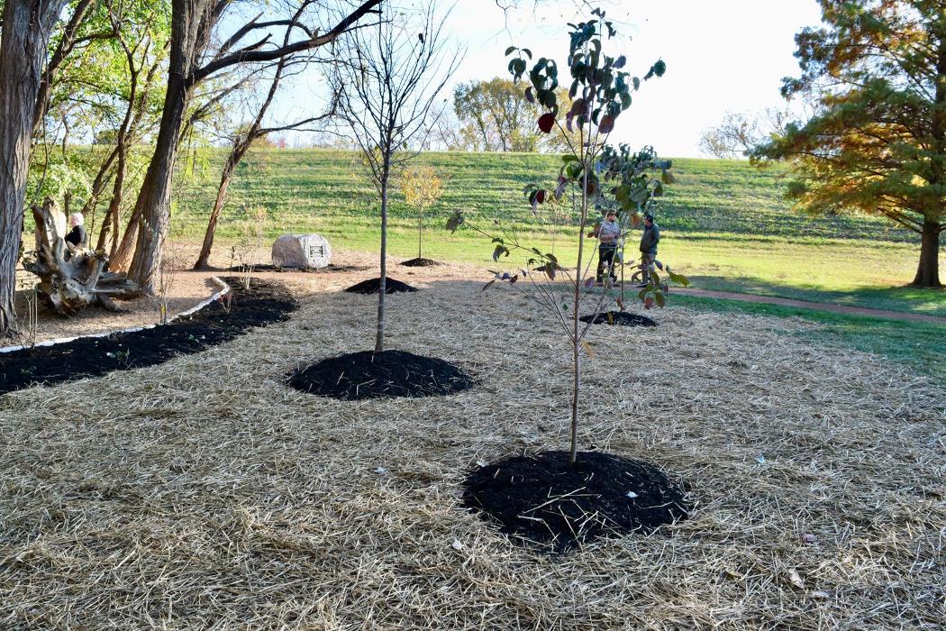 Lamb's Lawn Service & Landscaping LLC Image