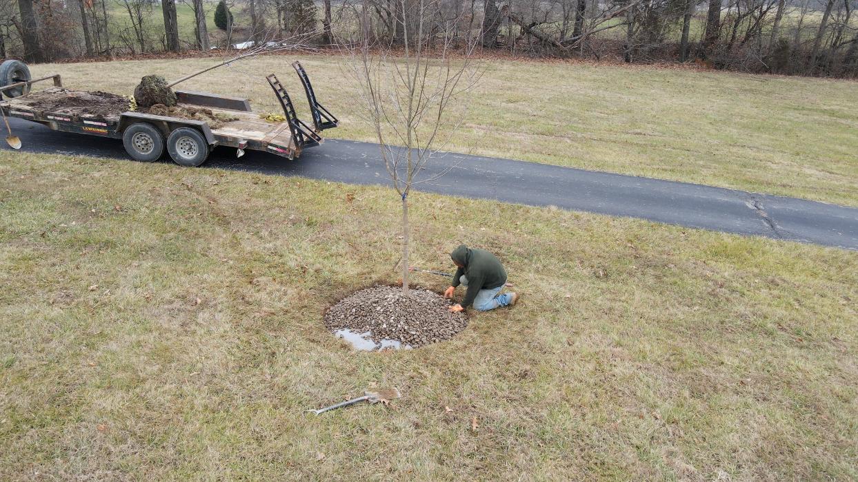 Lamb's Lawn Service & Landscaping LLC Image