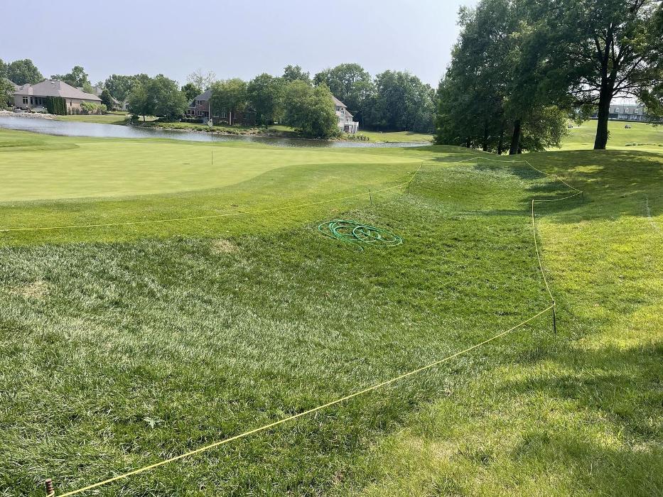 Lamb's Lawn Service & Landscaping LLC Image