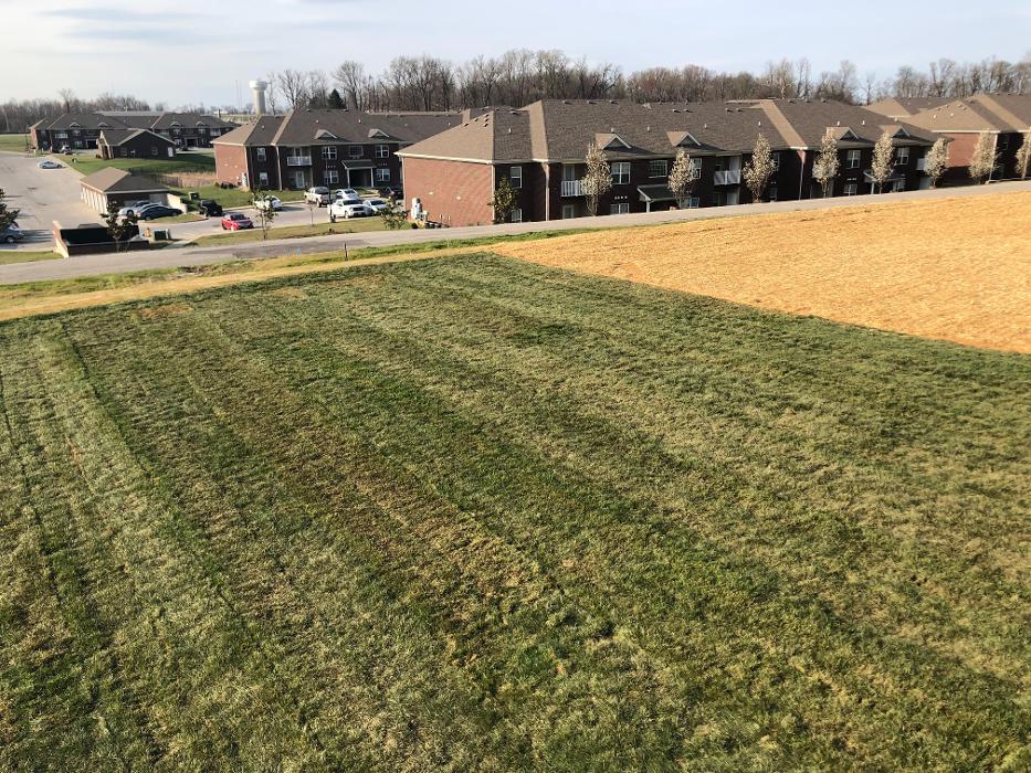 Lamb's Lawn Service & Landscaping LLC Image