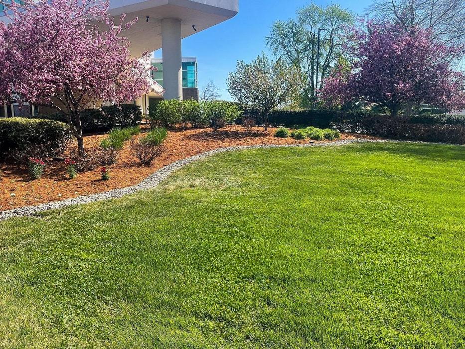 Lamb's Lawn Service & Landscaping LLC Image