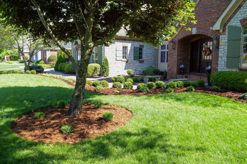 Lamb's Lawn Service & Landscaping LLC Image