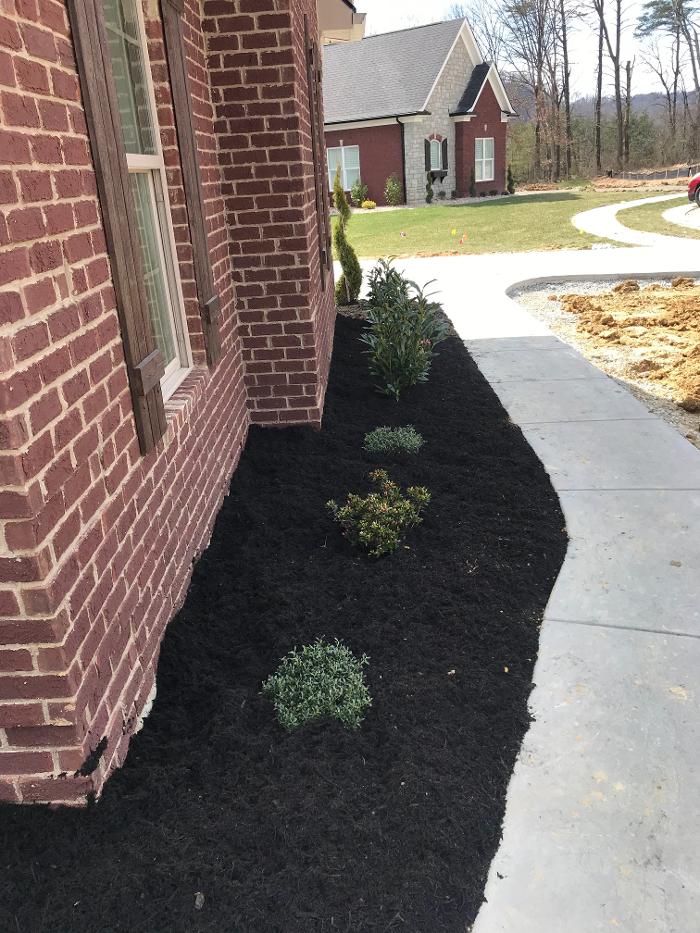 Lamb's Lawn Service & Landscaping LLC Image