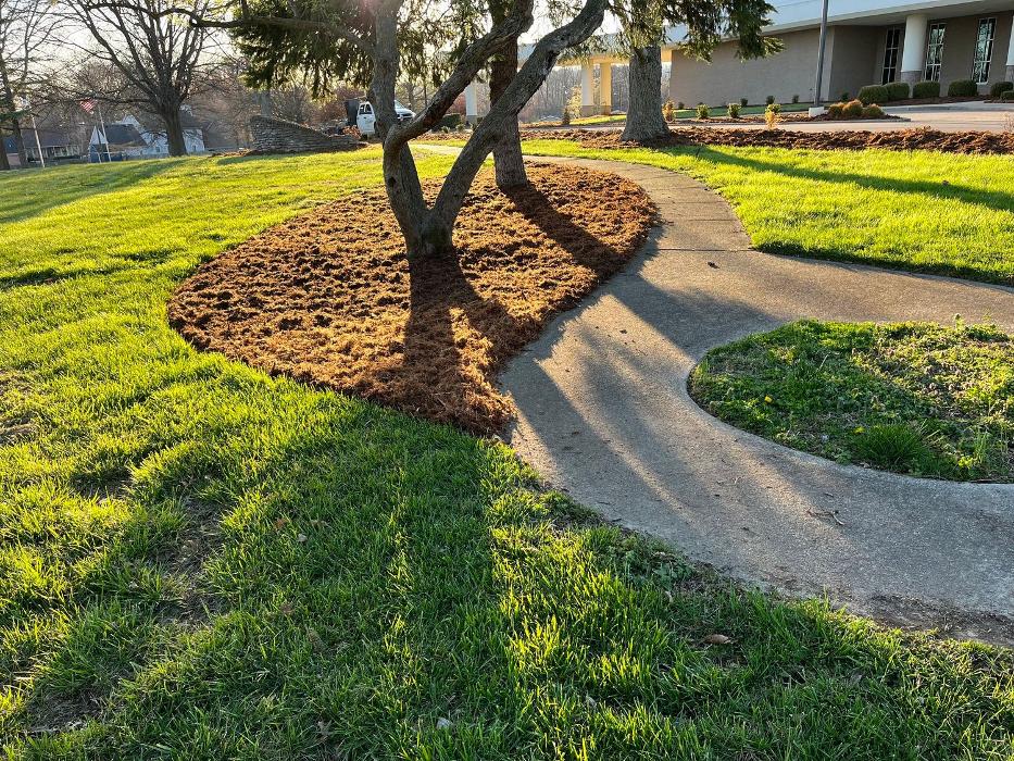 Lamb's Lawn Service & Landscaping LLC Image