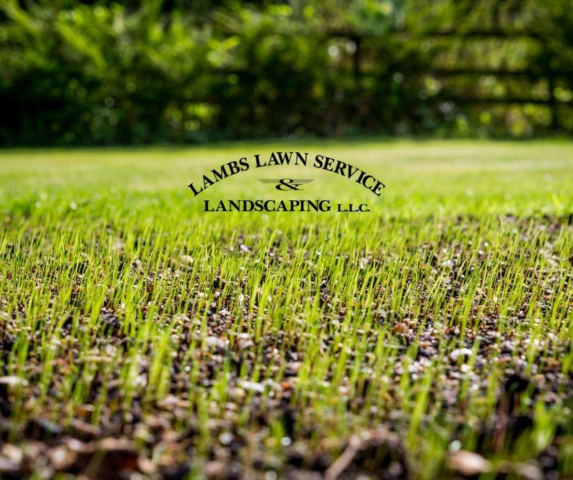 Lamb's Lawn Service & Landscaping LLC Image