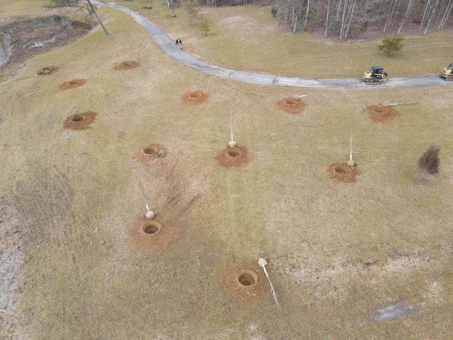 Lamb's Lawn Service & Landscaping LLC Image