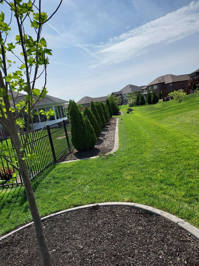 Lamb's Lawn Service & Landscaping LLC Image