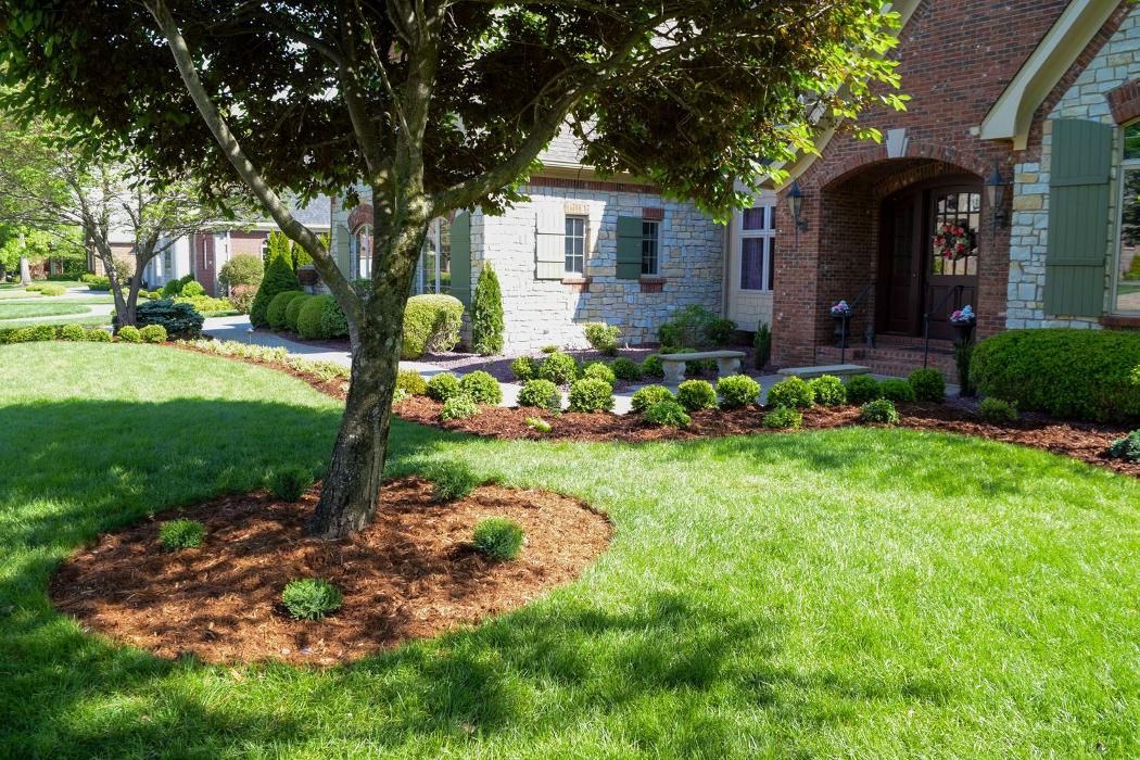 Lamb's Lawn Service & Landscaping LLC Image