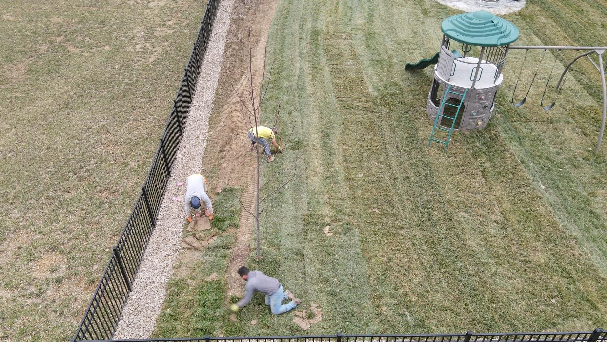 Lamb's Lawn Service & Landscaping LLC Image