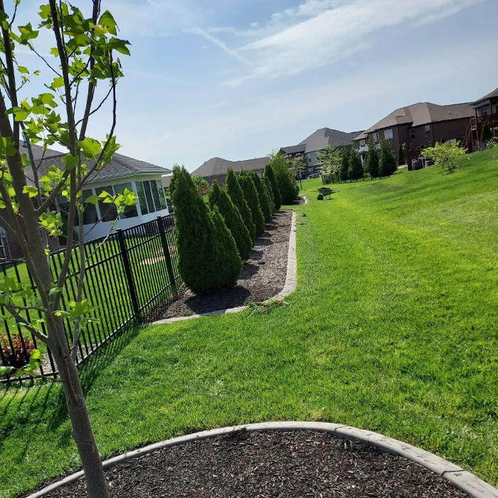 Lamb's Lawn Service & Landscaping LLC Image