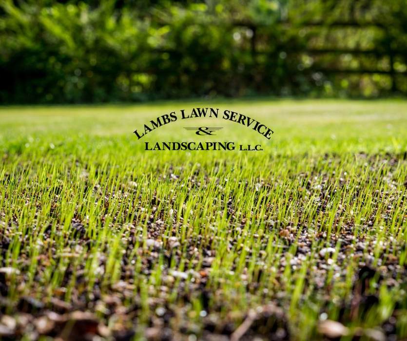 Lamb's Lawn Service & Landscaping LLC Image