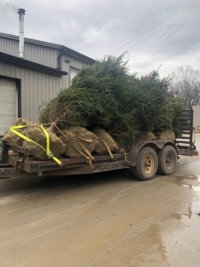 Lamb's Lawn Service & Landscaping LLC Image