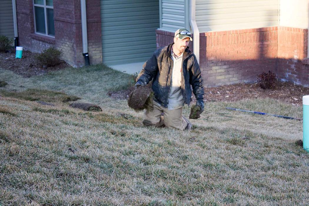 Lamb's Lawn Service & Landscaping LLC Image