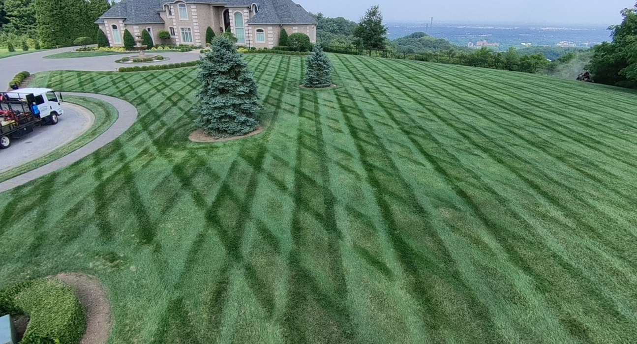 Lamb's Lawn Service & Landscaping LLC Image