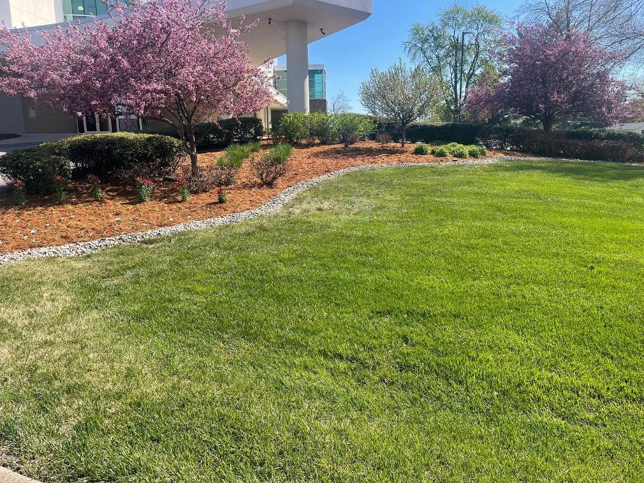 Lamb's Lawn Service & Landscaping LLC Image