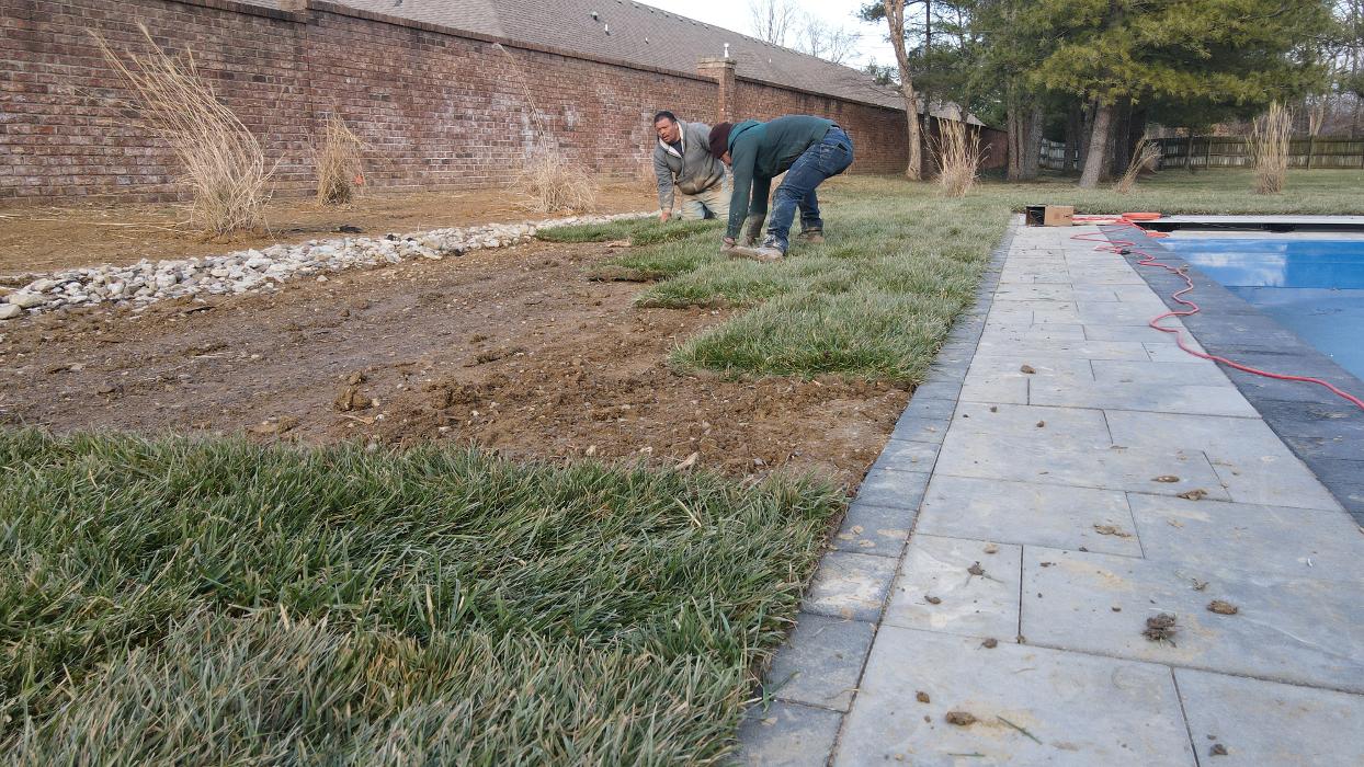 Lamb's Lawn Service & Landscaping LLC Image