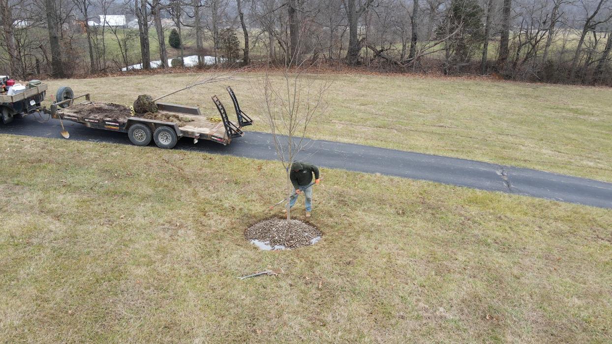 Lamb's Lawn Service & Landscaping LLC Image