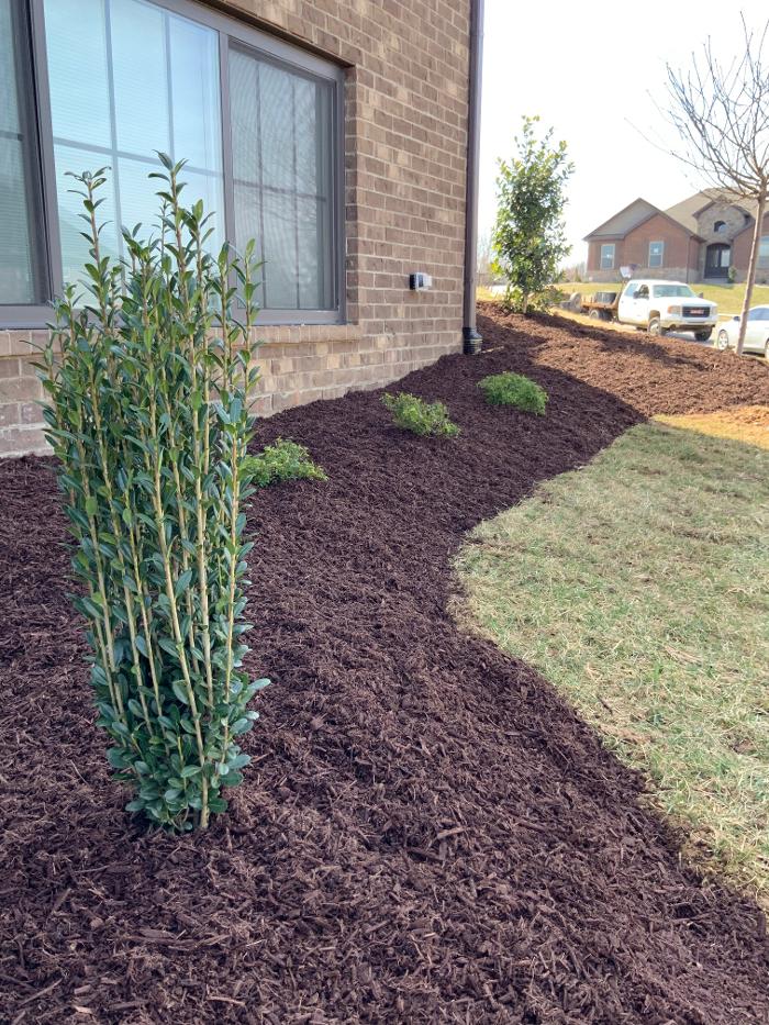 Lamb's Lawn Service & Landscaping LLC Image