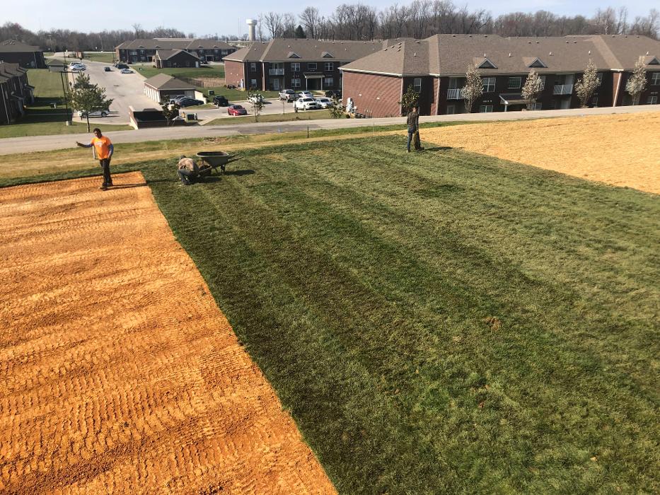 Lamb's Lawn Service & Landscaping LLC Image