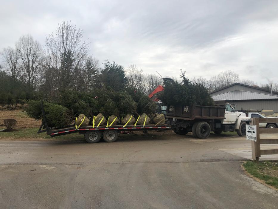 Lamb's Lawn Service & Landscaping LLC Image