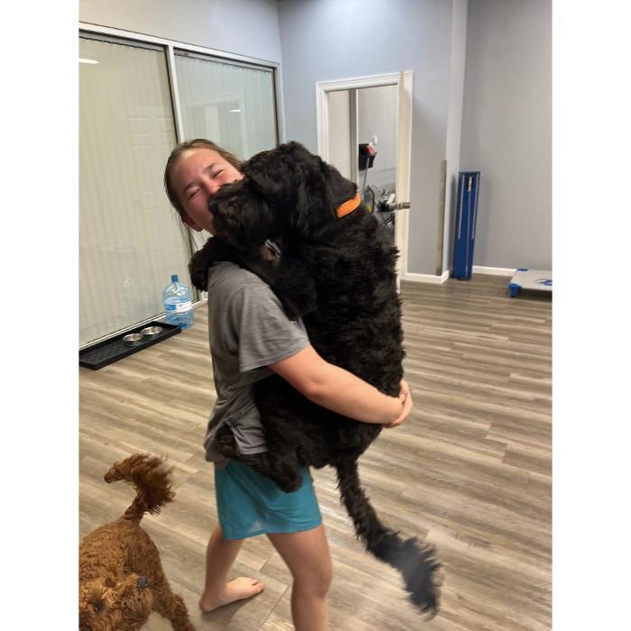 The trainer is hugging a large black dog, which is standing on its hind legs in the training room.