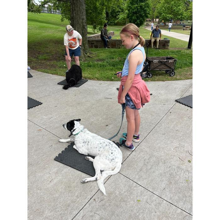 A young girl holding the leash of a black-and-white dog lying calmly on the sidewalk during a training session.