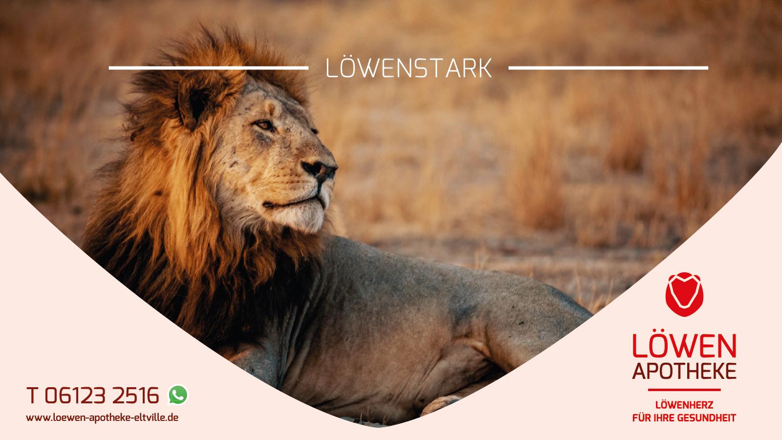 Löwen Apotheke Eltville, Schwalbacher Straße in Eltville am Rhein