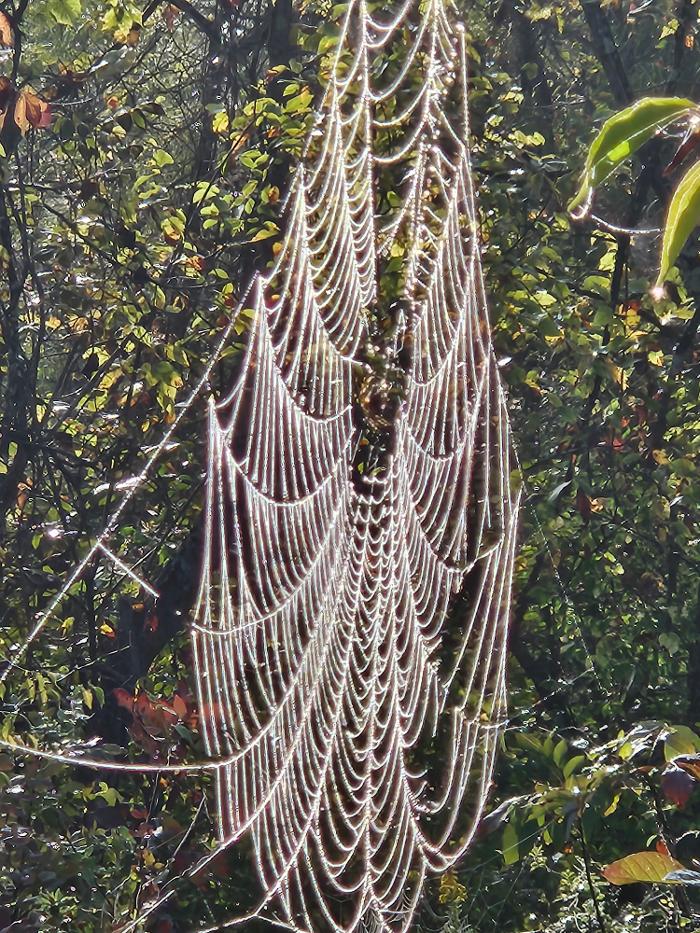 Estridge Deck and Patio LLC Image