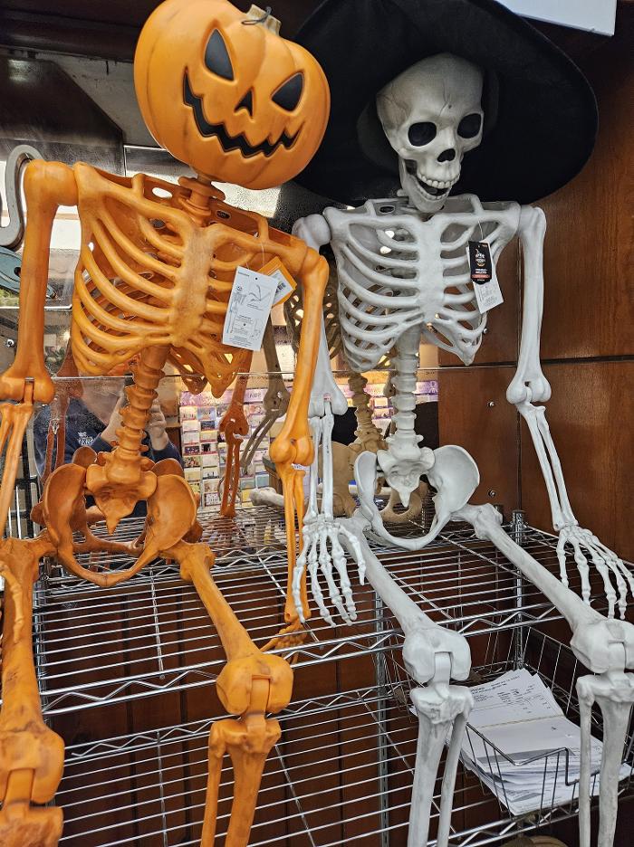 Swan Floral & Gift Shop - Erlanger, KY