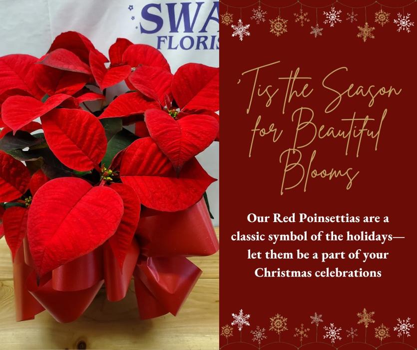 Swan Floral & Gift Shop - Erlanger, KY