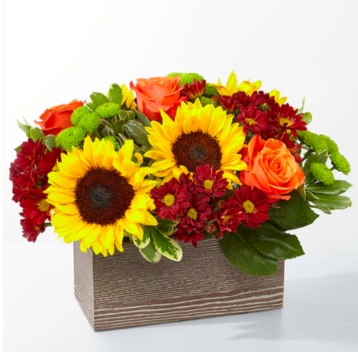 Swan Floral & Gift Shop - Erlanger, KY