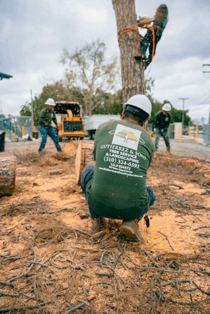 Gutierrez & Sons Tree Services and Landscaping Image