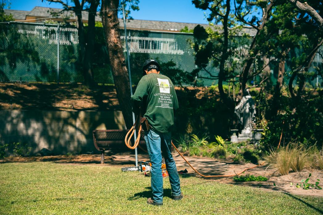 Gutierrez & Sons Tree Services and Landscaping Image