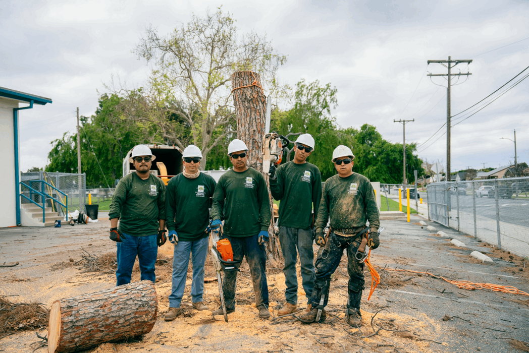 Gutierrez & Sons Tree Services and Landscaping Image