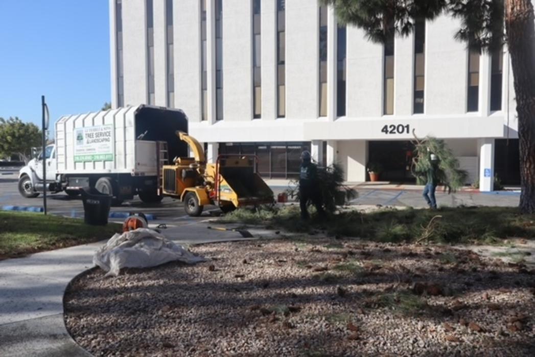 Gutierrez & Sons Tree Services and Landscaping Image