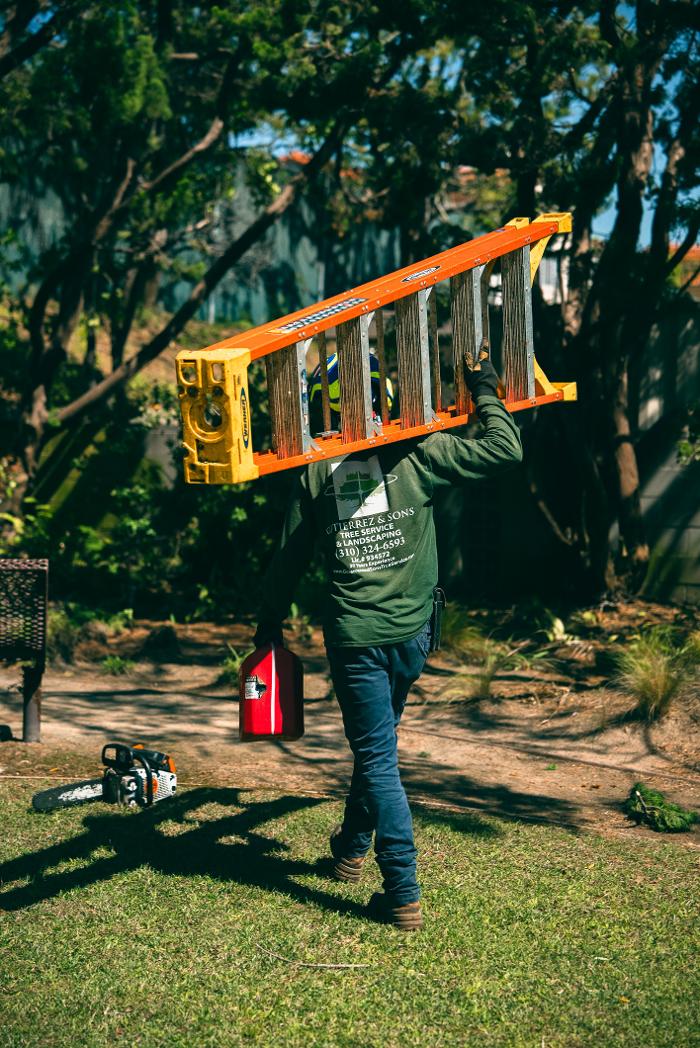 Gutierrez & Sons Tree Services and Landscaping Image