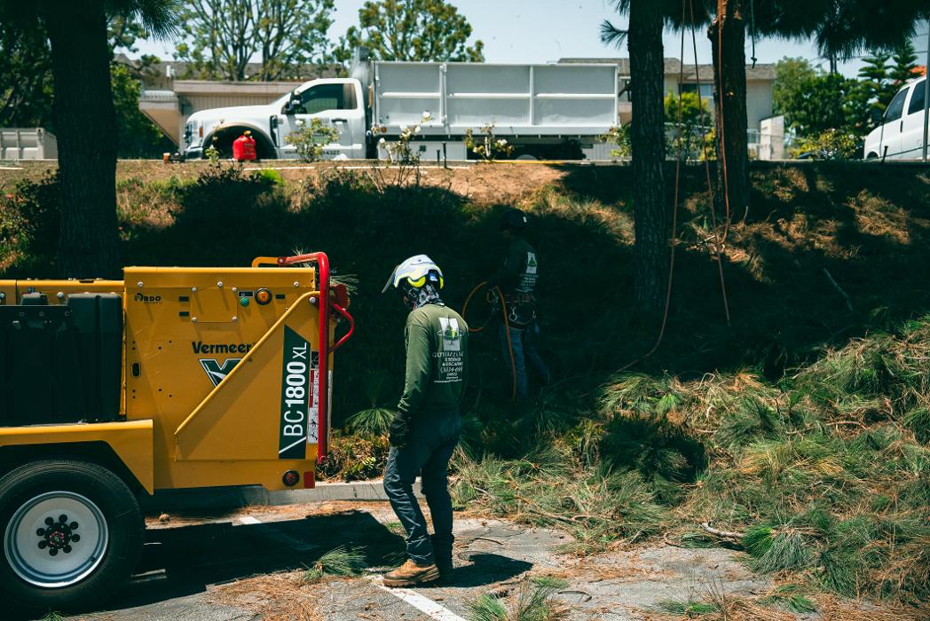 Gutierrez &amp; Sons Tree Services and Landscaping Logo