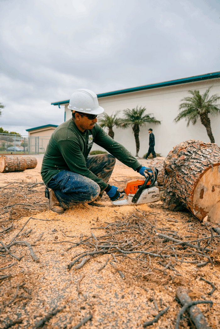 Gutierrez & Sons Tree Services and Landscaping Image