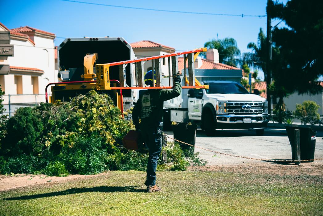 Gutierrez & Sons Tree Services and Landscaping Image