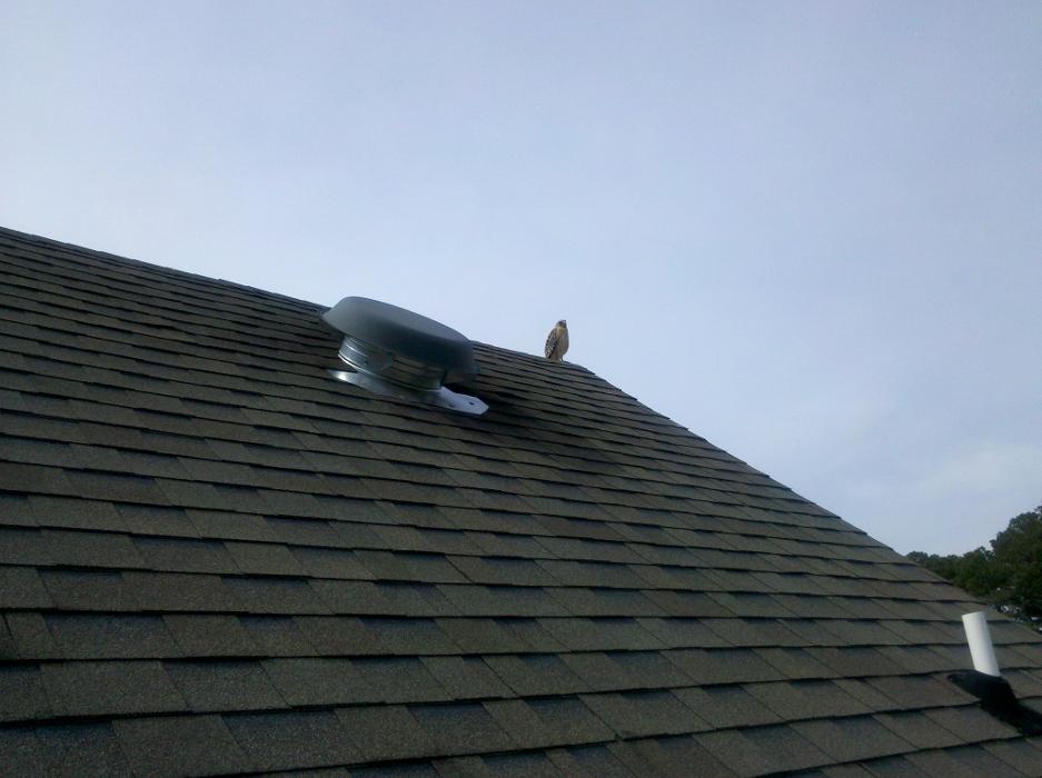 Atlanta Roofing Specialists Image