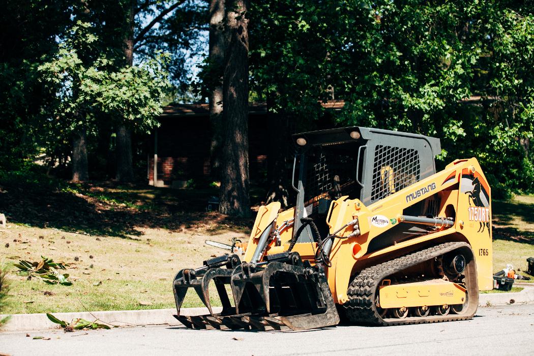 Top Tier Trees Image